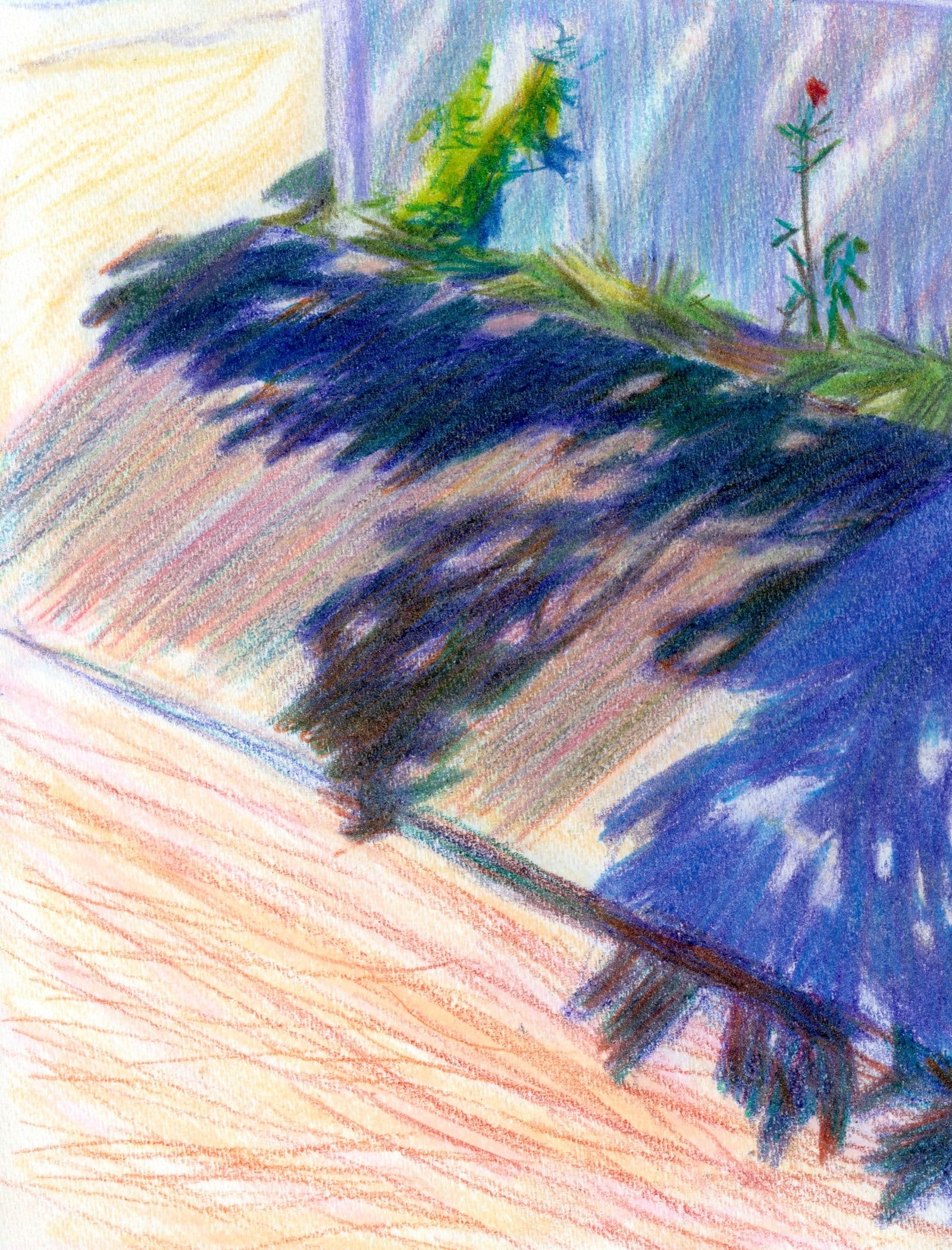 Canopy