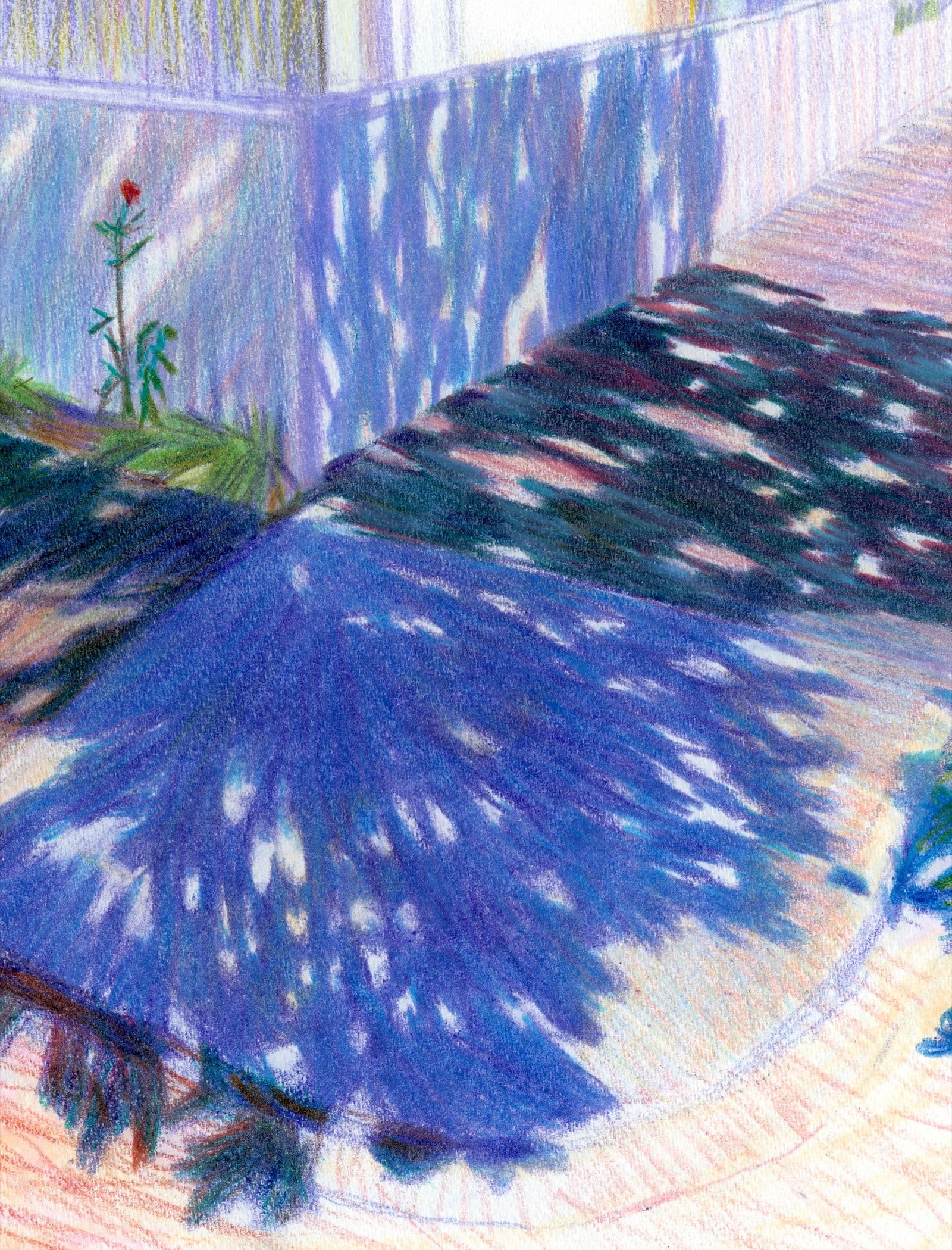 Canopy